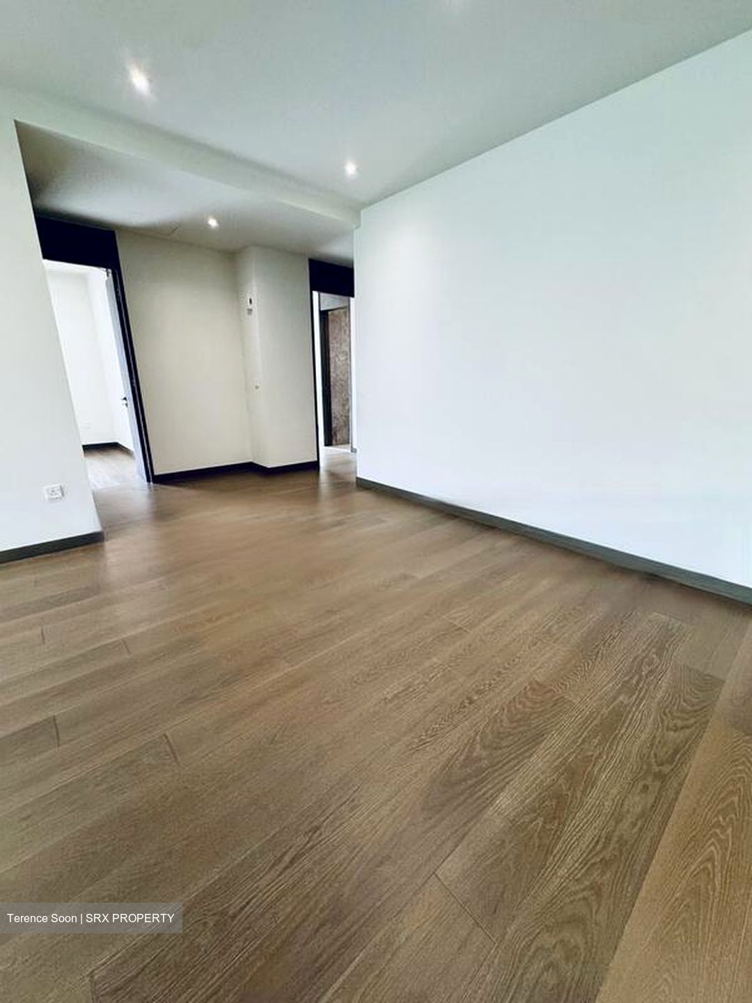 Dalvey Haus (D10), Condominium #474371411